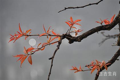 2023年1月19日黄历查询