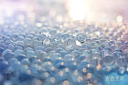 属牛人财运分析