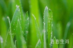 属马2022年12月5日6日7日运势天天看