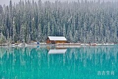 属虎能不能住东南方向的楼层_属虎住西户的好处