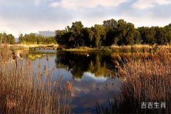 最能吃的生肖大揭秘：哪个生肖能吃得最多呢？