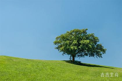 一月羊守空房二月羊三月羊