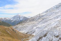 曲高和寡是什么生肖？生肖解析与文化背景