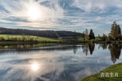 最聪明的动物打一生肖，十二生肖中哪个生肖最聪明