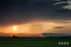 什么生肖视力最差，其中包括了哪些动物？