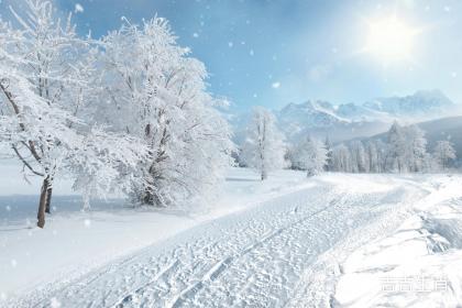 属鼠12月3日运程解读