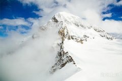 最笨生肖是什么生肖？让我们揭开十二生肖中最低智商的动物！